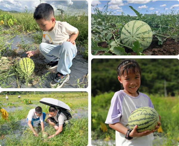 趣游盛夏，一路童行—2024年廣東博皓親子游   -12